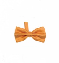 BT016 Order suit bow tie online order formal bow tie manufacturer detail view-19